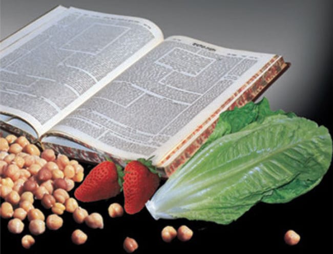 “בדיקת המזון כהלכה” מאת הרב משה ויא